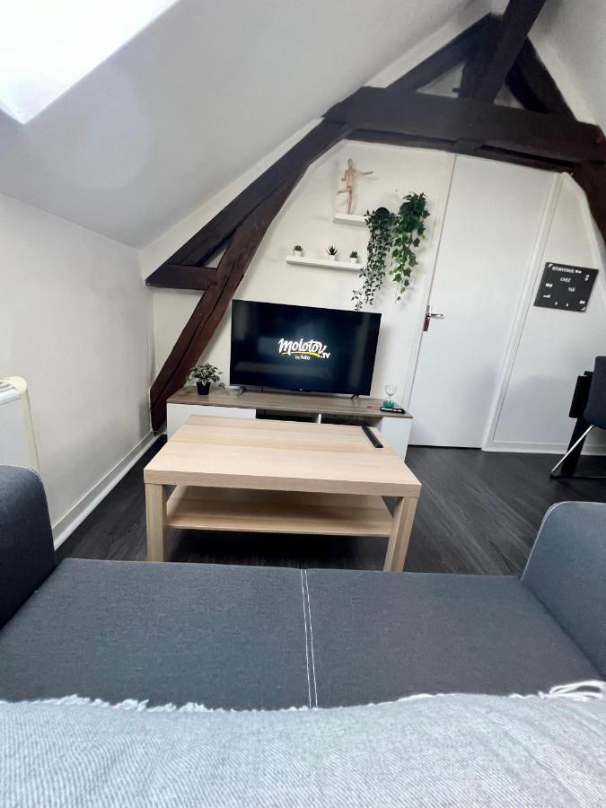 Bel Appartement Lumineux 35M2, Bord De Loire Saint-Jean-le-Blanc Extérieur photo