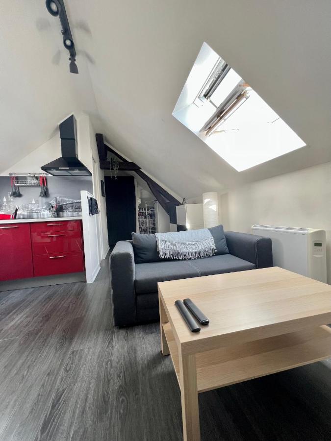Bel Appartement Lumineux 35M2, Bord De Loire Saint-Jean-le-Blanc Extérieur photo