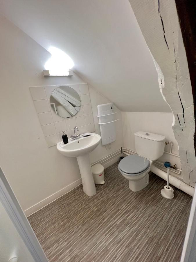 Bel Appartement Lumineux 35M2, Bord De Loire Saint-Jean-le-Blanc Extérieur photo