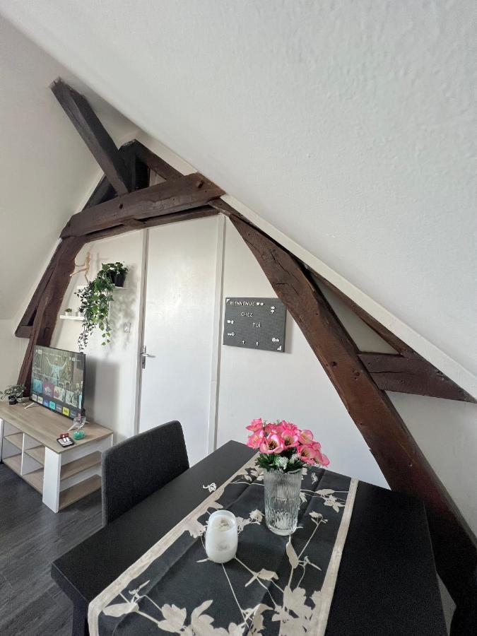 Bel Appartement Lumineux 35M2, Bord De Loire Saint-Jean-le-Blanc Extérieur photo