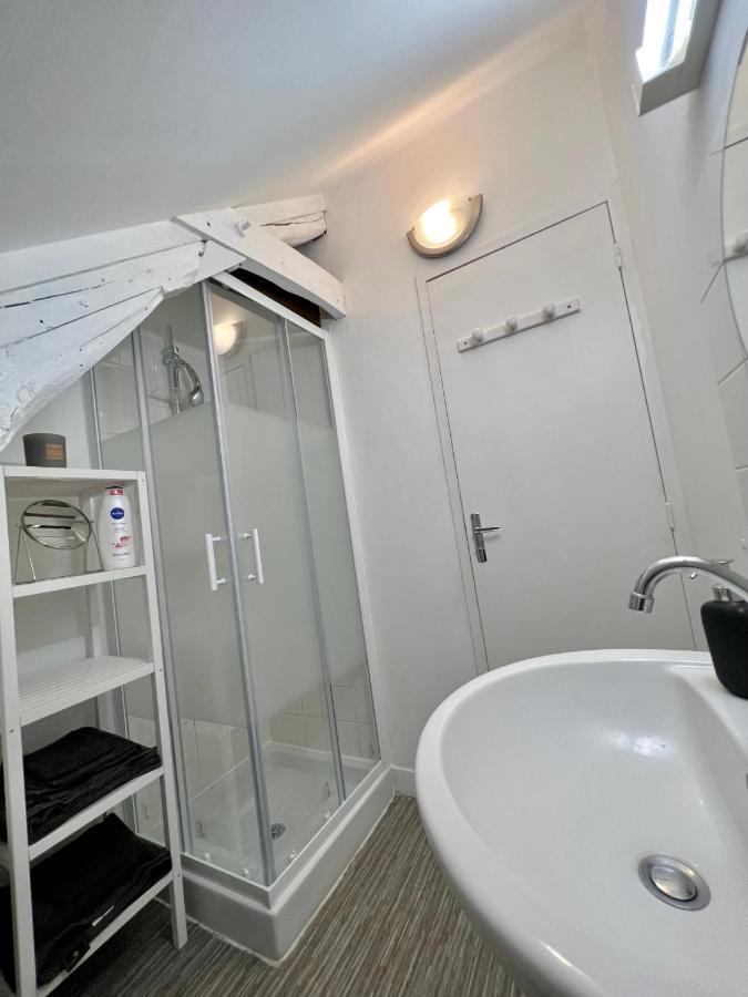 Bel Appartement Lumineux 35M2, Bord De Loire Saint-Jean-le-Blanc Extérieur photo