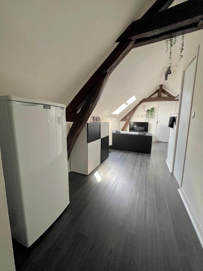 Bel Appartement Lumineux 35M2, Bord De Loire Saint-Jean-le-Blanc Extérieur photo