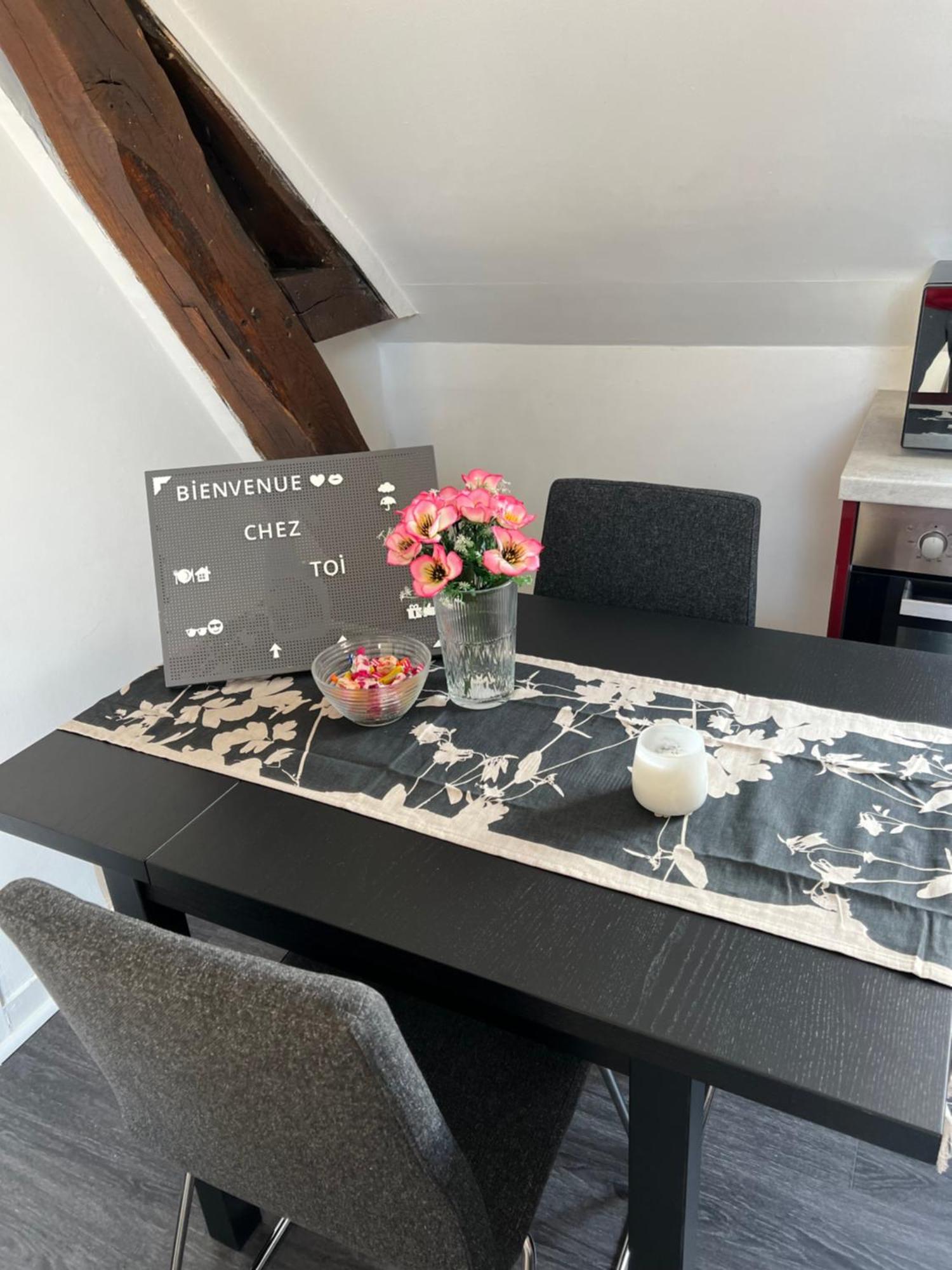 Bel Appartement Lumineux 35M2, Bord De Loire Saint-Jean-le-Blanc Extérieur photo